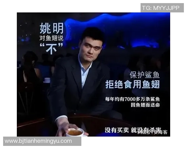姚明在国际赛场上的语言冲突与文化交流的挑战与机遇分析
