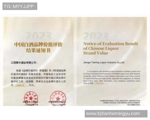 足球明星与终身代言合同的深度解析及其对品牌价值的影响