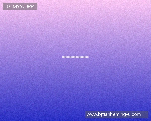 篮球全明星搭配图解读明星球员组合与战术分析